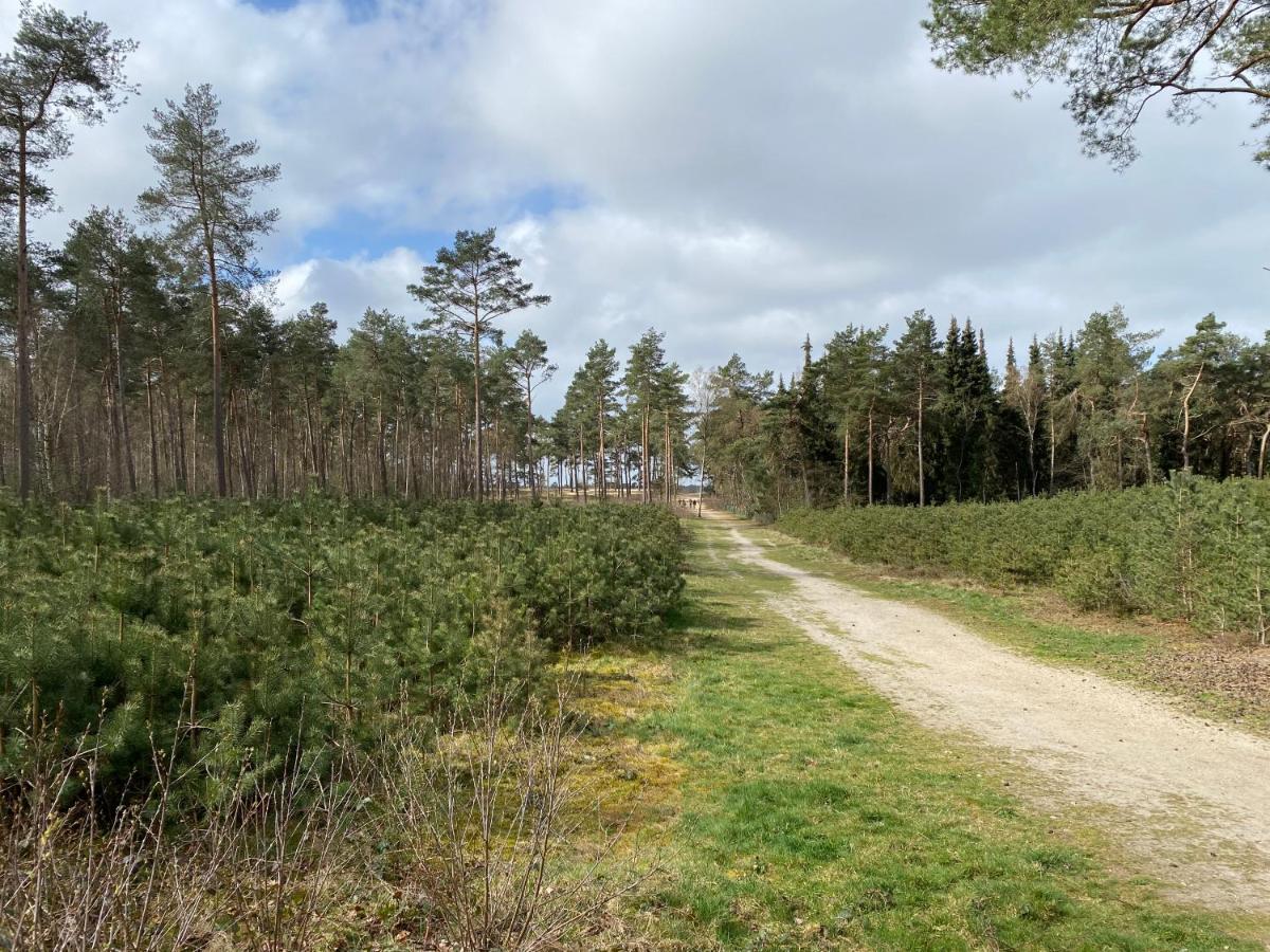 Doornspijk Chalet Dennenveltヴィラ エクステリア 写真