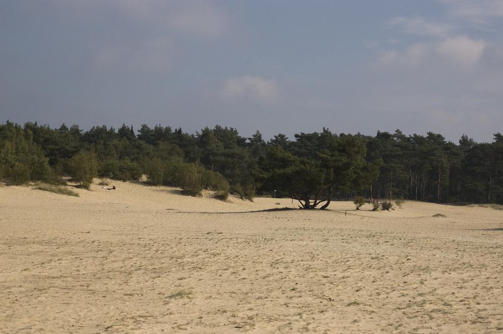 Doornspijk Chalet Dennenveltヴィラ エクステリア 写真